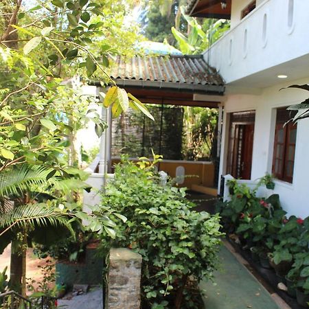 Alex Home Stay Kandy Exterior foto